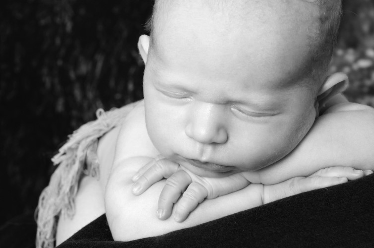 02 ורד סיסם שחר,צילומי ניו בורן